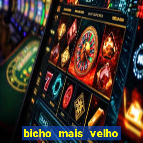 bicho mais velho da loteria dos sonhos